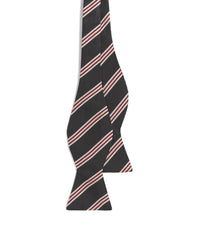 Brooks Brothers Men Mini BB#1 Stripe Bow Tie