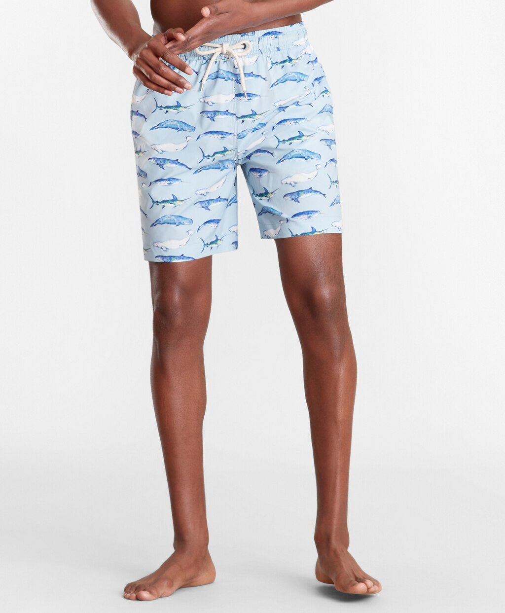 Brooks Brothers Men Montauk 6" Whale Print Swim Trunks